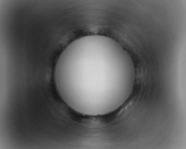 X0000094320656200711161931