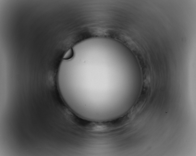 X0000094320658200711161931