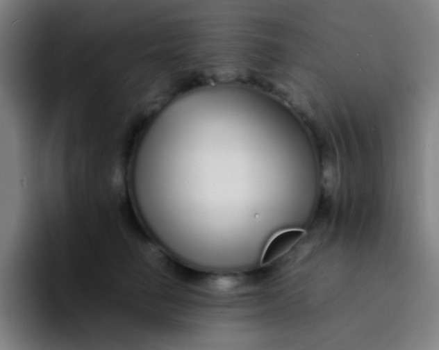 X0000094320662200711161931