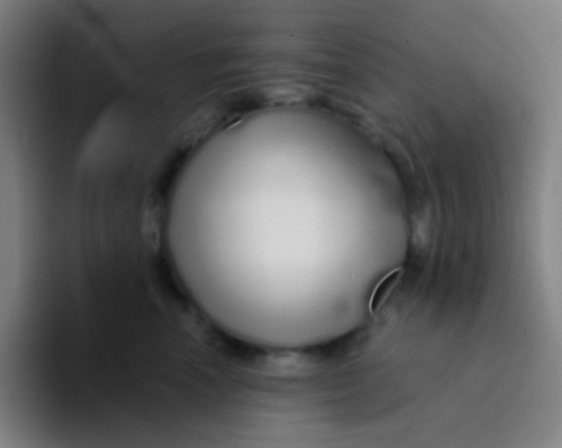 X0000094320666200711161931