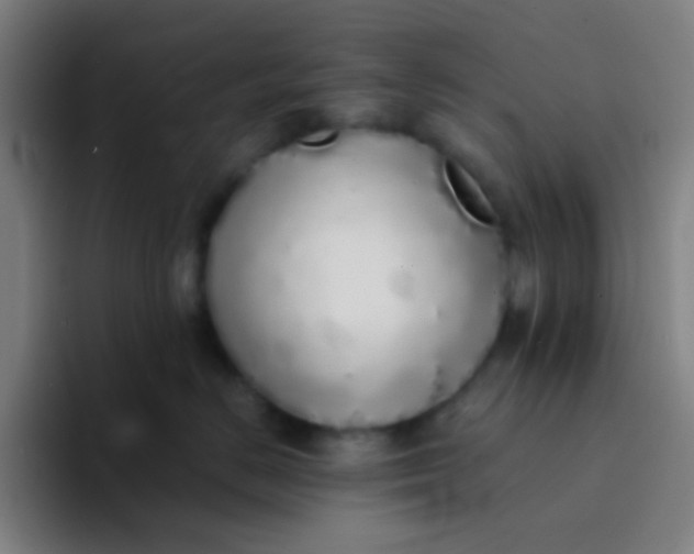 X0000094320670200711161931