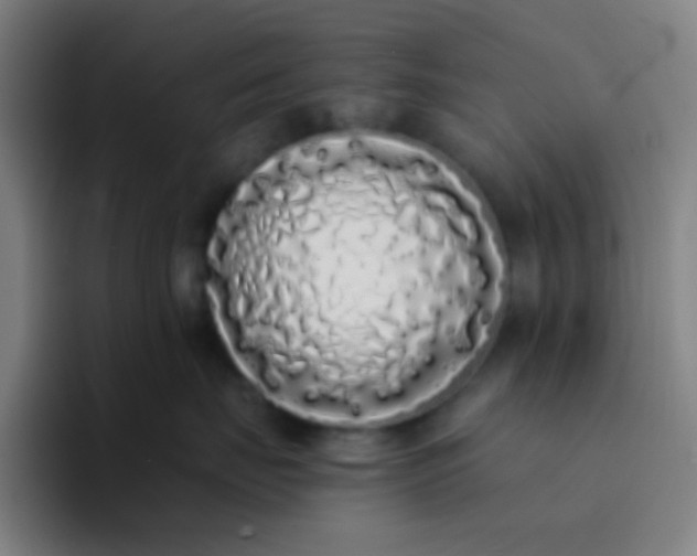 X0000094320671200711161931