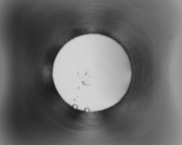 X0000094320672200711161931