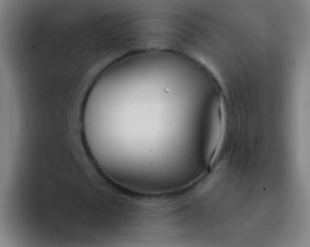 X0000094320673200711161930