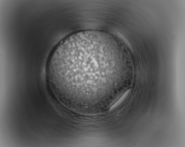 X0000094320674200711161930