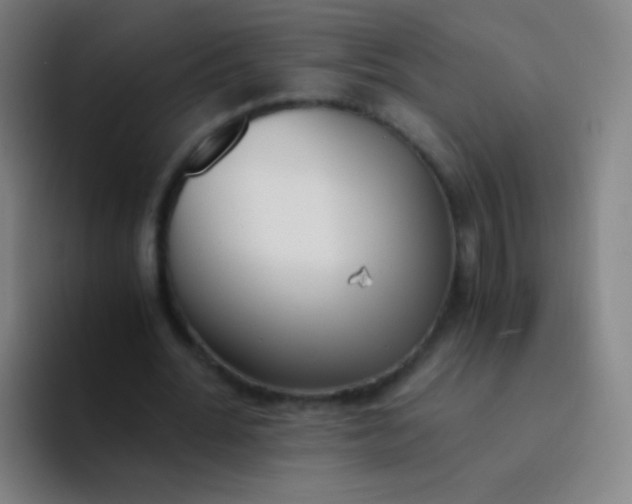 X0000094320676200711161930