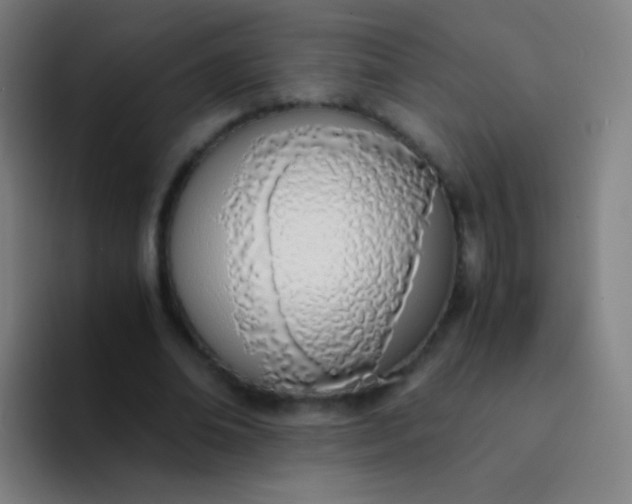 X0000094320678200711161930