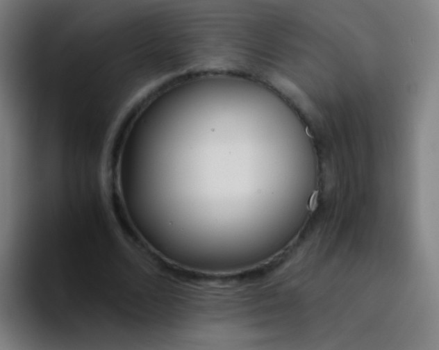 X0000094320680200711161930
