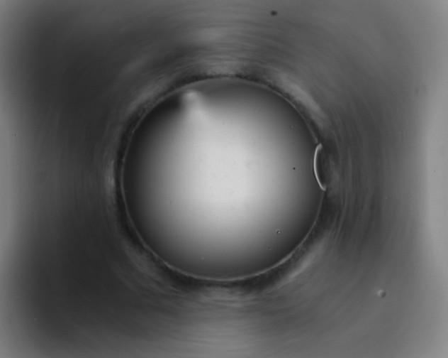 X0000094320681200711161930