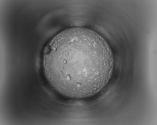 X0000094320683200711161930