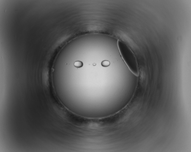 X0000094320684200711161930