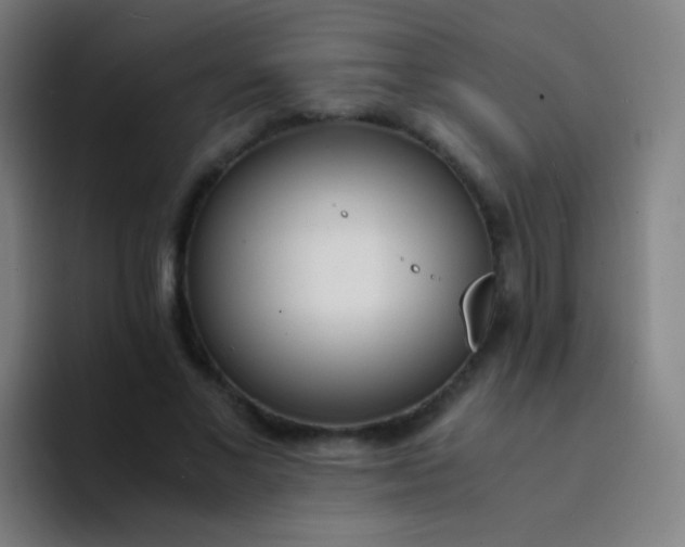 X0000094320685200711161930