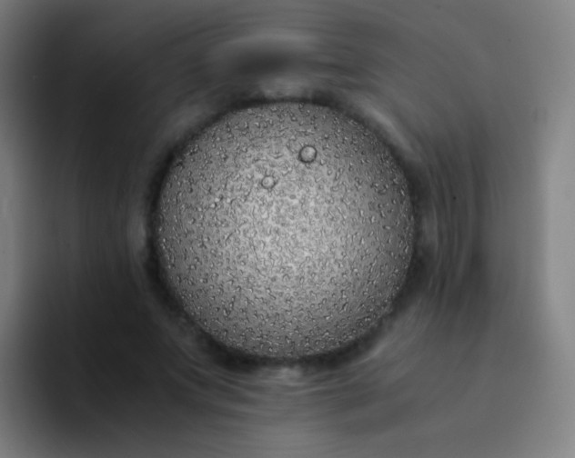 X0000094320687200711161930
