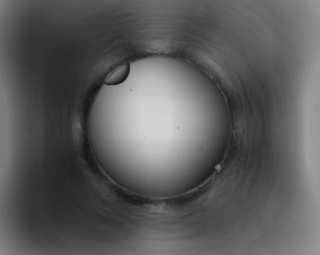 X0000094320688200711161930