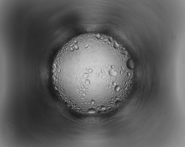 X0000094320691200711161930