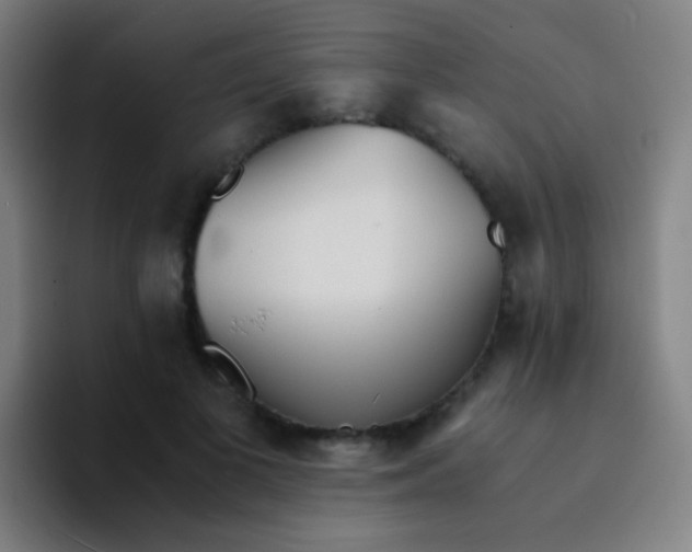 X0000094320693200711161930