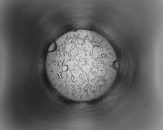 X0000094320695200711161930