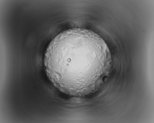 X0000094320699200711161930