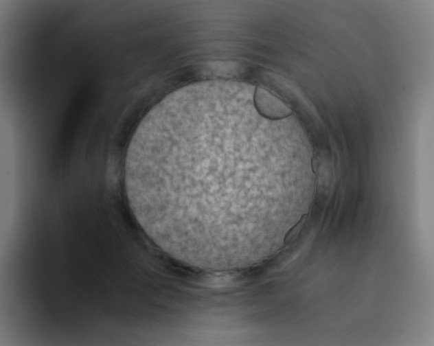 X0000094320701200711161930