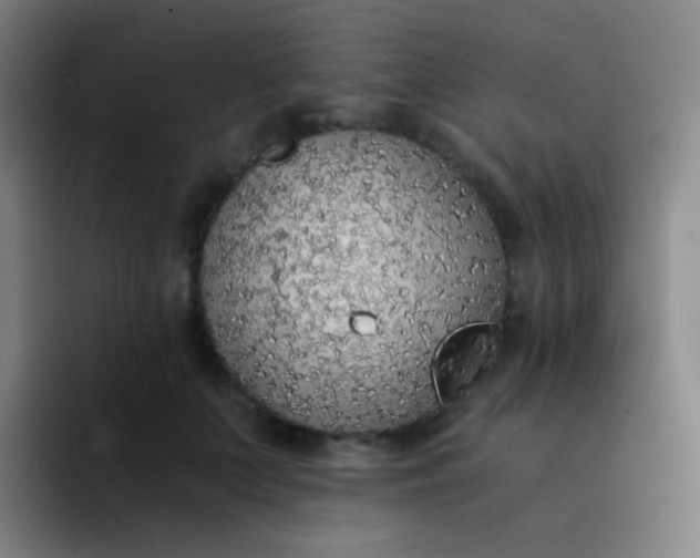 X0000094320703200711161930