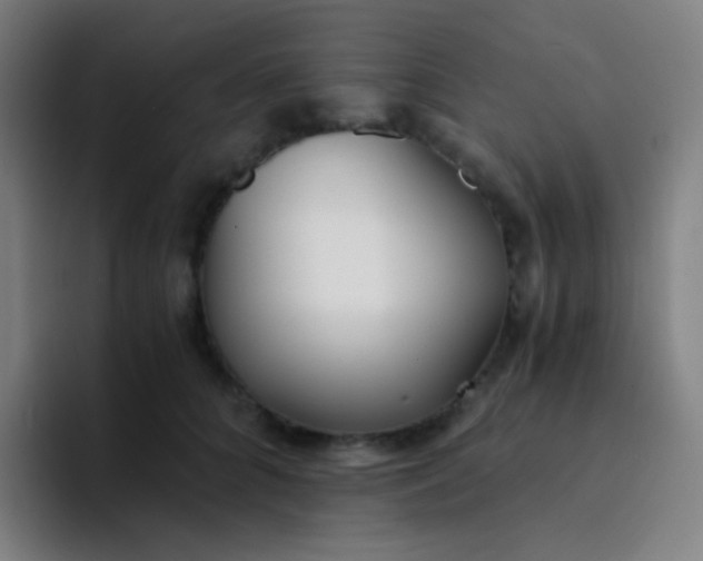 X0000094320704200711161930