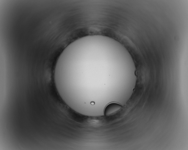 X0000094320706200711161930