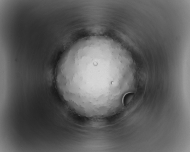 X0000094320707200711161930