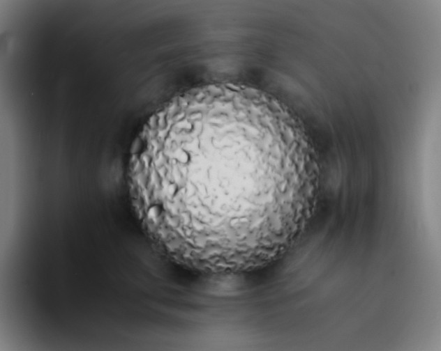 X0000094320711200711161930