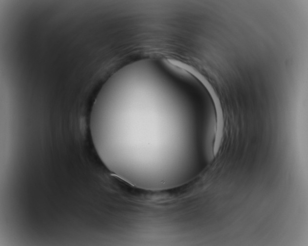 X0000094320716200711161930