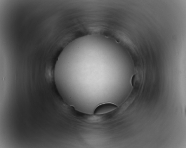 X0000094320718200711161930