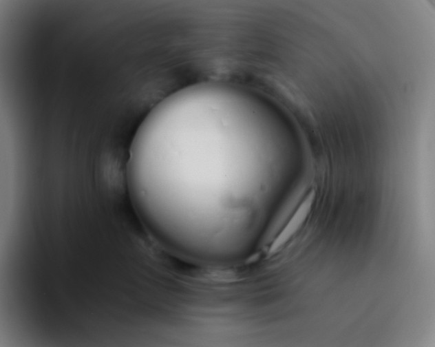 X0000094320719200711161930