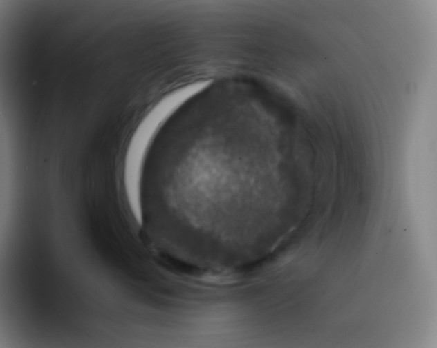 X0000094320720200711161930
