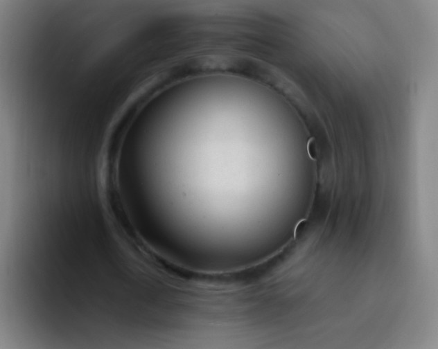 X0000094320722200711161929