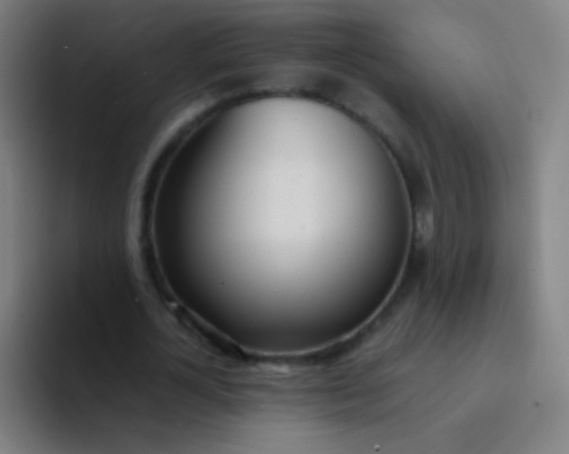 X0000094320724200711161929
