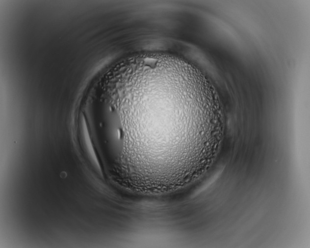 X0000094320725200711161929