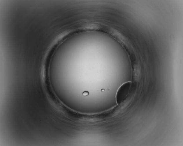 X0000094320726200711161929