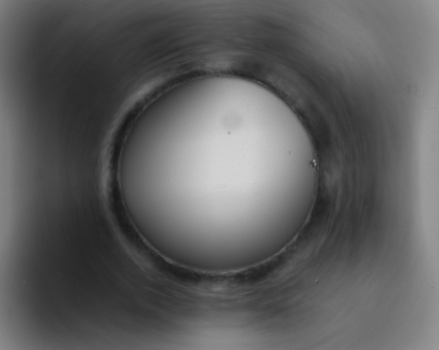 X0000094320728200711161929