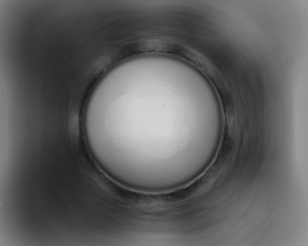 X0000094320729200711161929