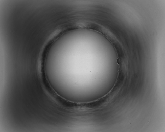 X0000094320730200711161929