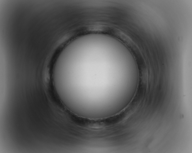 X0000094320731200711161929
