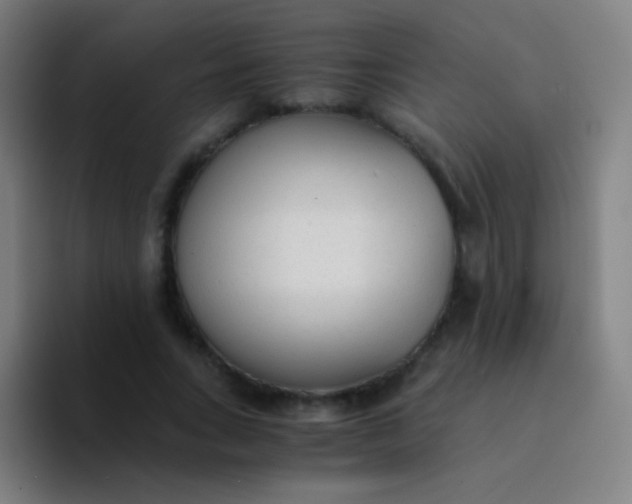 X0000094320735200711161929