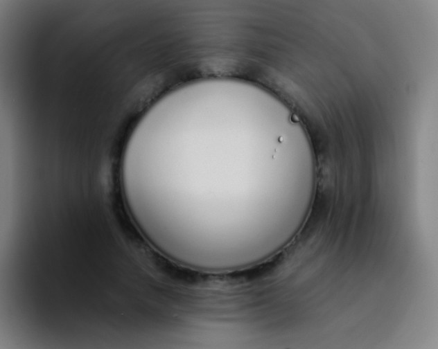 X0000094320738200711161929
