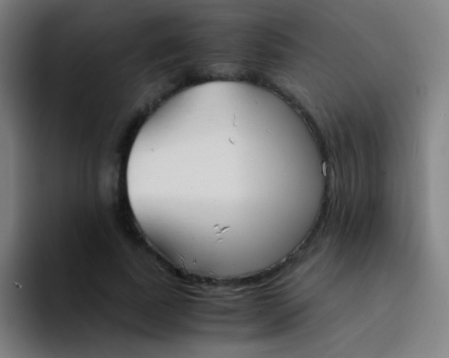 X0000094320739200711161929