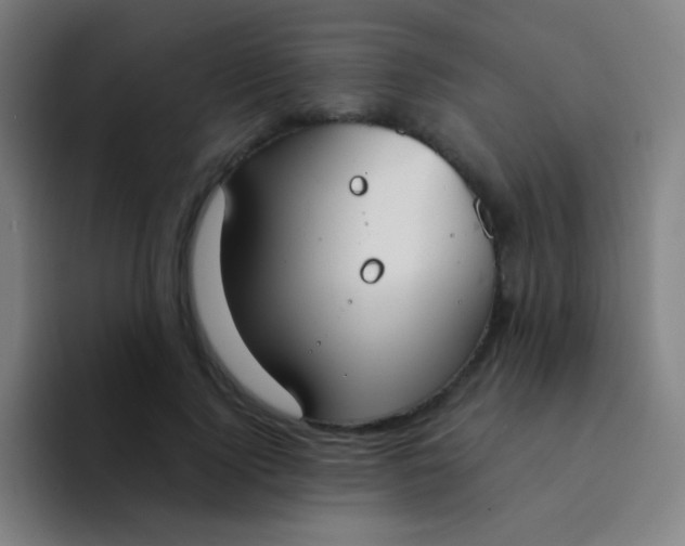 X0000094320740200711161929