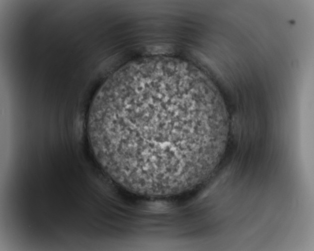 X0000094320741200711161929