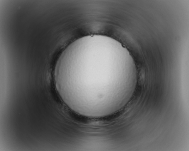 X0000094320746200711161929