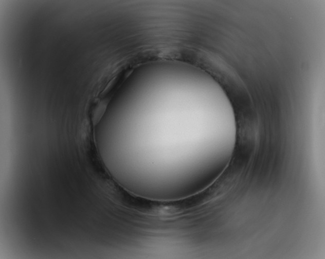 X0000094320748200711161929