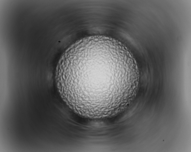 X0000094320749200711161929