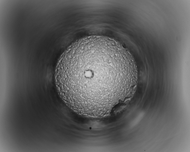 X0000094320753200711161929