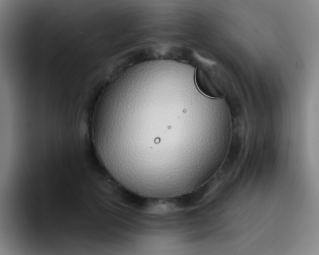 X0000094320754200711161929
